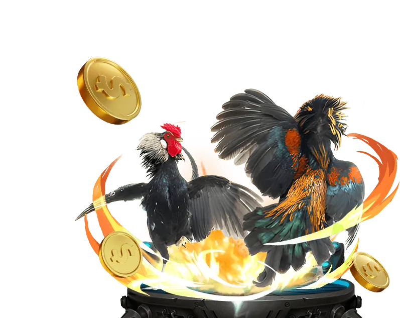 Đánh giá game đá gà trực tuyến trên alo789 apk